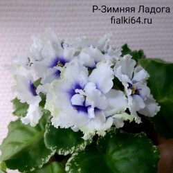 Р-Зимняя Ладога (В. Зуб)